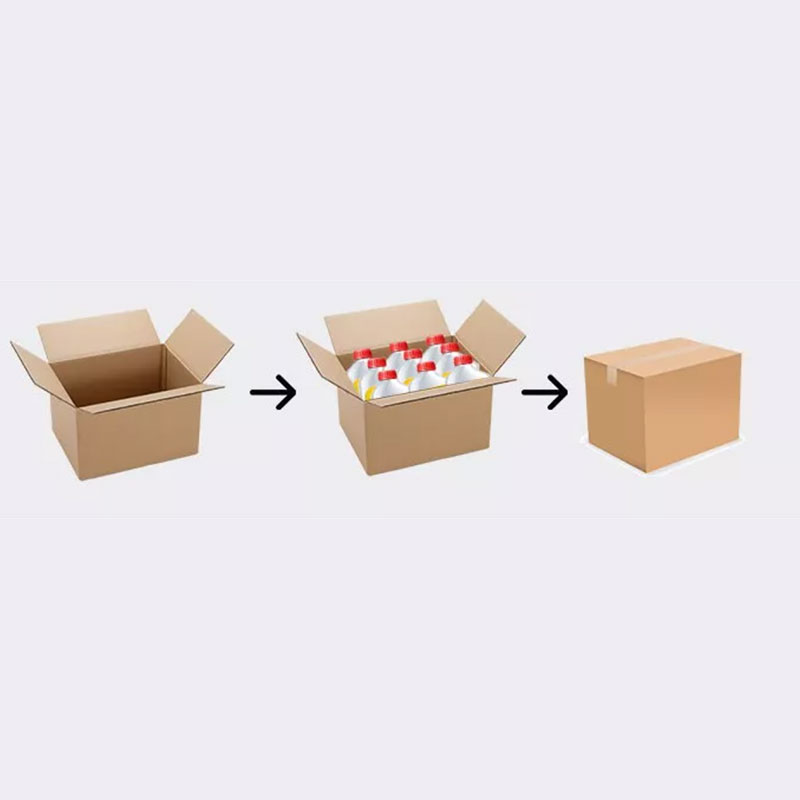 Máquina de envasado para caja de cartón